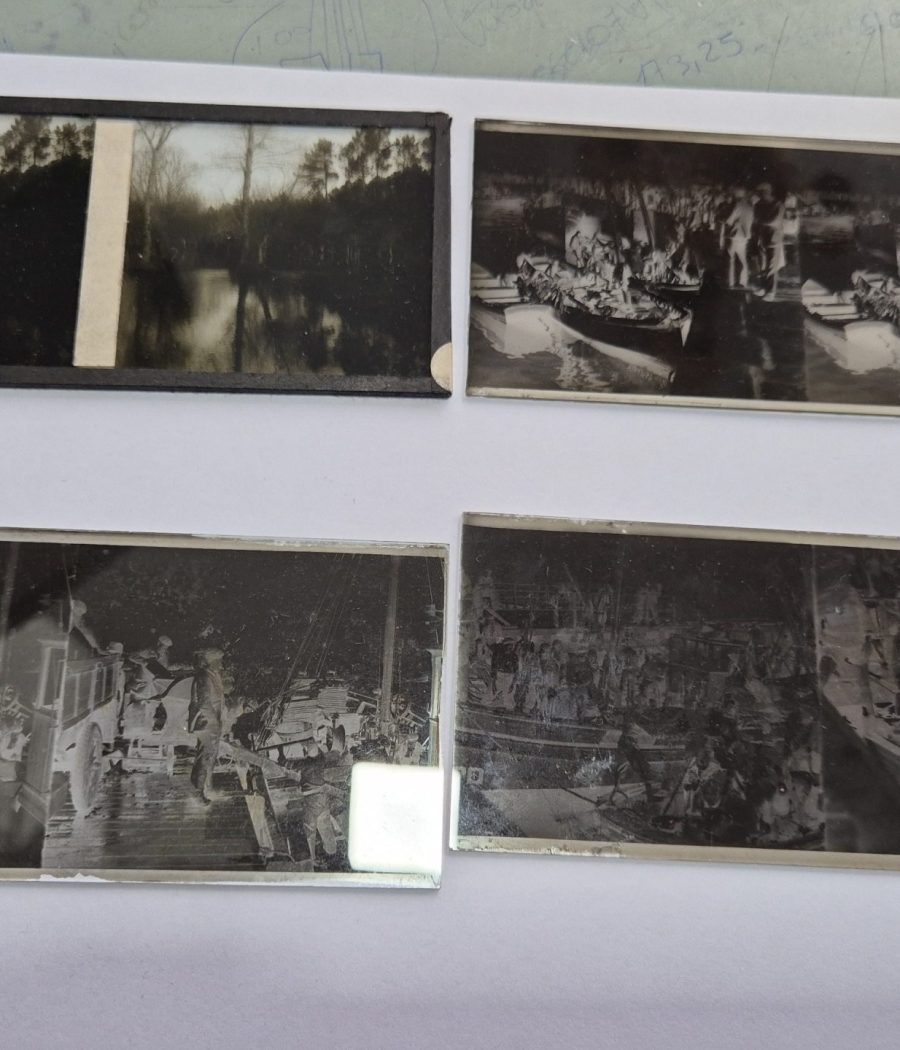 Placas estereoscópicas